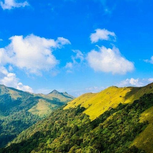 Bangalore to Coorg group travel destination