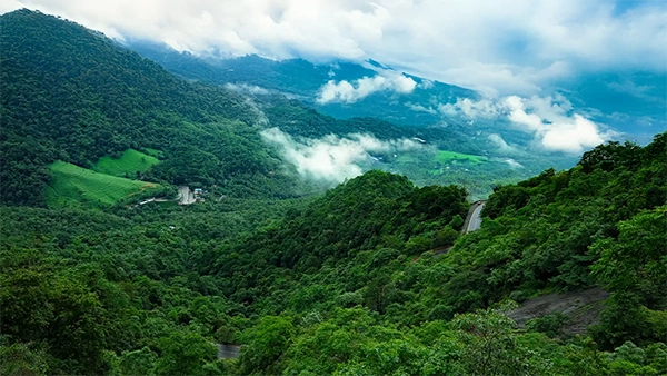 Bangalore to Wayanad group travel destination
